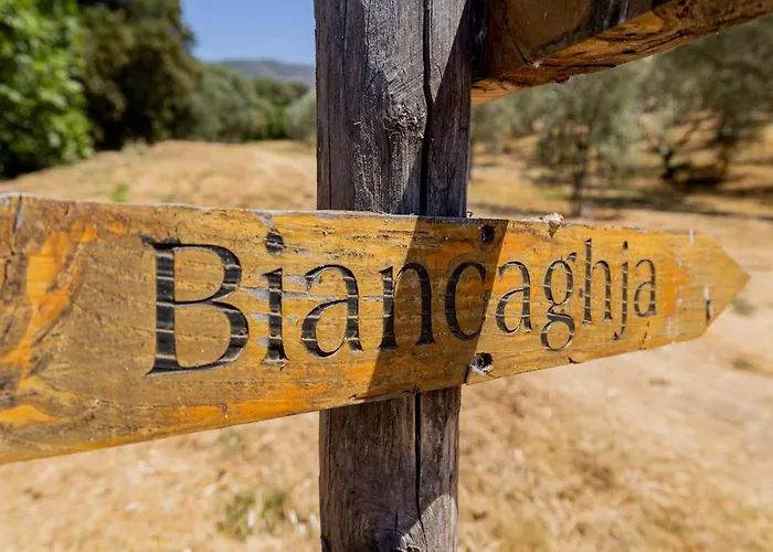 Domaine De Campu Дом отдыха